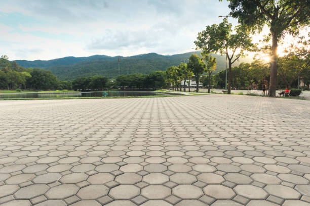 Best Driveway Pavers Near Me  in Cheswold, DE